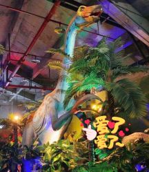 -恐龙探索乐园(磁器口店)