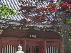 -浅草寺