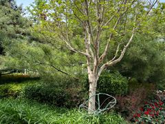 -南宫五洲植物乐园