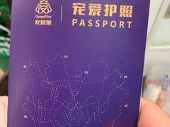 -翊宠yipet猫狗购宠庄园犬舍•猫舍