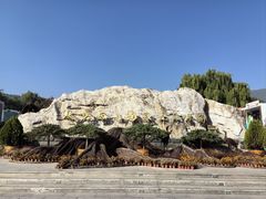 -北京西山国家森林公园