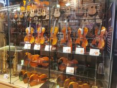 -柏斯琴行(汾阳店)