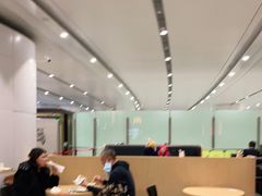 -麦当劳(北京大兴机场二层国内到达(安检外)店)