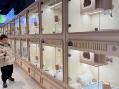 -合景·悠方(成都店)