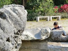 -四望岗公园
