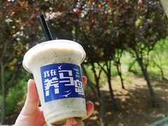 -养马岛旅游度假区