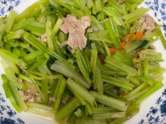 -天鹅到家·保姆月嫂育儿嫂(南开店)
