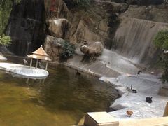 iphone_upload_pic-百鸟园