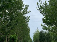 -永定河休闲森林公园