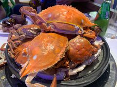 -半岛听涛蒸汽海鲜自助(K11店)