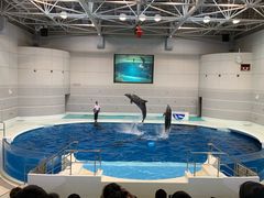 -鹿儿岛水族馆
