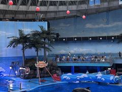 -海合安成都极地海洋公园