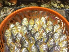 -浙C老邻舍(西城海错店)