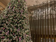 -四季酒店·空中花园 Aria on 9