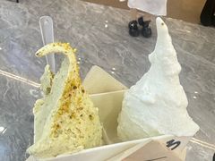 -野人先生现做冰淇淋(西安赛格店)