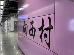 -向西村(地铁站)