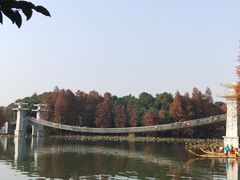 -东湖落雁景区