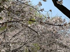 -西北湖绿化广场