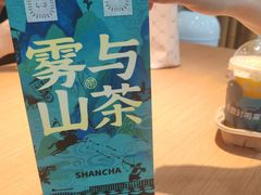 -雾与山茶(大禹城店)