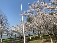 -幕燕滨江·长江观音景区