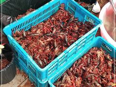 -庾氏龙虾馆(多弗汇店)