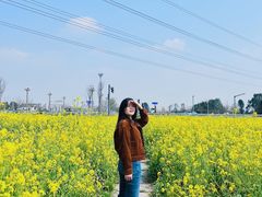 -桤木河湿地公园