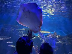 -华夏文旅海洋公园