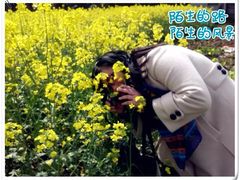 -青龙山国家森林公园