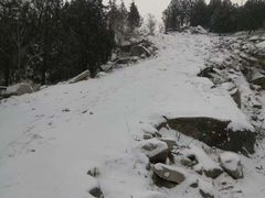 -白水寺森林公园