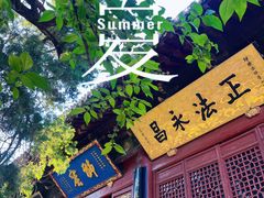 -洛阳白马寺
