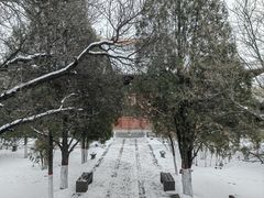-善化寺