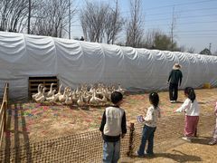 -汉长安城未央宫国家考古遗址公园