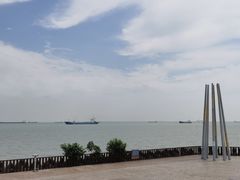 -上海滨江森林公园