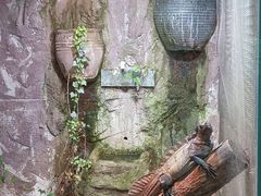 -上海大自然野生昆虫馆(东方明珠·爬宠昆虫探索中心)