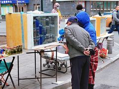 -哈尔滨道外花鸟鱼市场