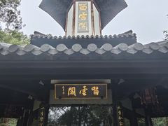 -上海佘山国家森林公园天马山园