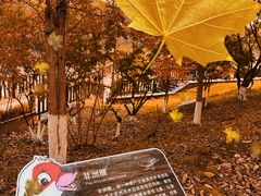 -大连外国语大学(旅顺校区)