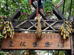 -西双版纳原始森林公园