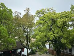 -楠溪江风景名胜区