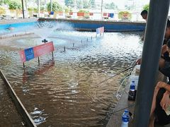 -粮心小农·大头虾亲子生态园(长发店)