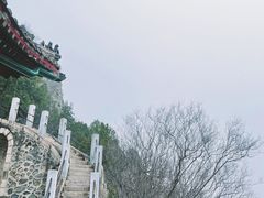 -北京鹫峰国家森林公园