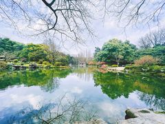 -杭州植物园