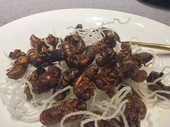 -鹊华居·地道鲁菜·海鲜·融合味(大明湖店)