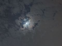 -武昌江滩