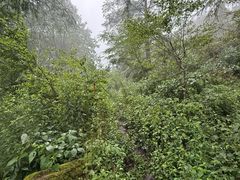 -安吉龙王山风景区