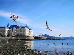 -黑石礁公园