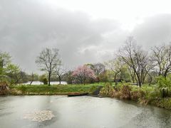 -木守西溪溪隐餐厅