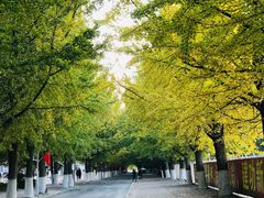 -辽东学院(南校区)