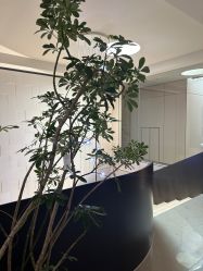 -WENDY·温迪皮肤管理