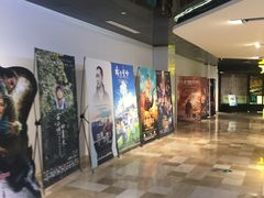 -金逸影城(影视中心IMAX店)